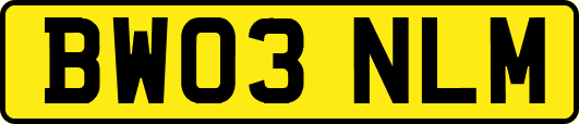 BW03NLM