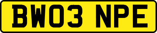BW03NPE