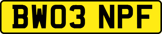 BW03NPF