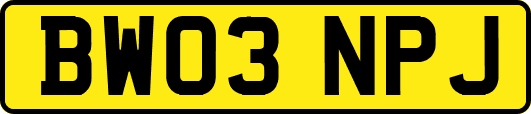 BW03NPJ