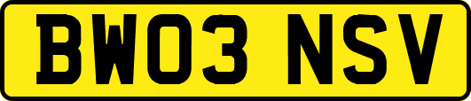 BW03NSV