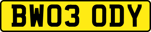 BW03ODY