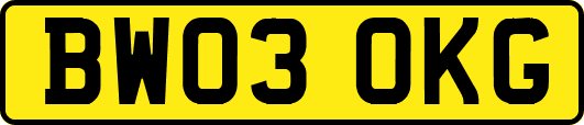 BW03OKG