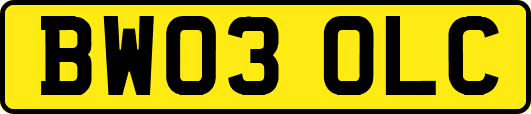 BW03OLC