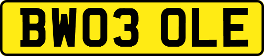 BW03OLE