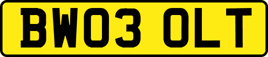 BW03OLT