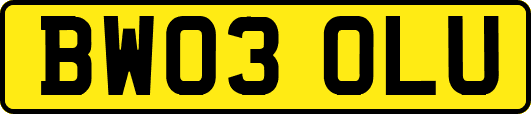 BW03OLU