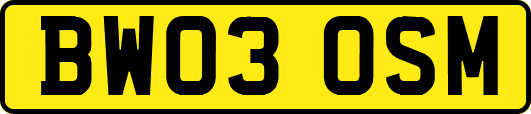BW03OSM