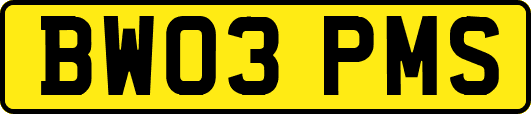 BW03PMS