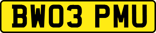 BW03PMU
