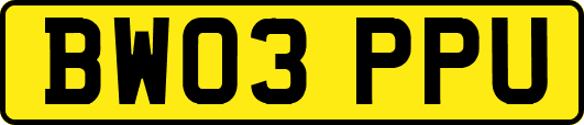 BW03PPU