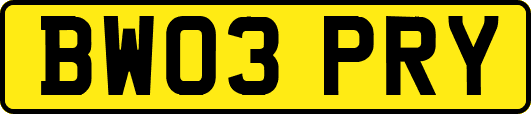 BW03PRY