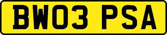 BW03PSA