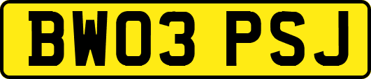 BW03PSJ