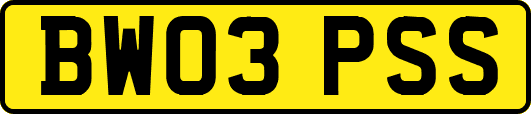 BW03PSS
