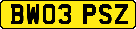 BW03PSZ