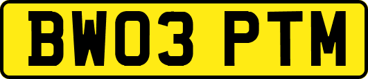 BW03PTM