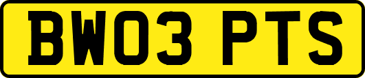 BW03PTS