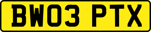 BW03PTX