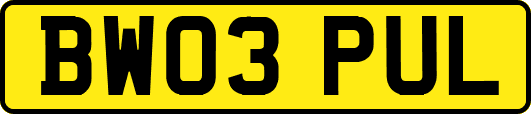 BW03PUL