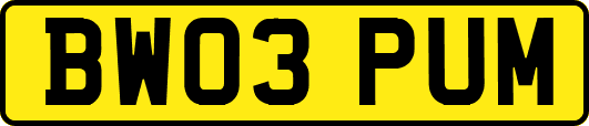 BW03PUM