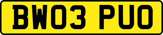BW03PUO