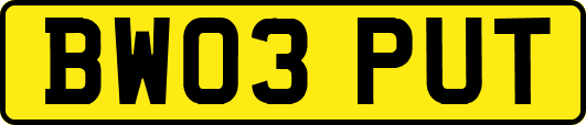 BW03PUT