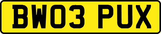BW03PUX