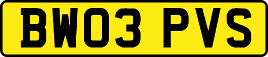 BW03PVS