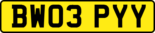 BW03PYY
