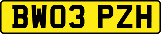 BW03PZH