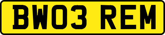 BW03REM