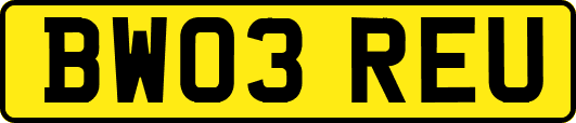 BW03REU