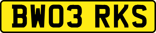 BW03RKS
