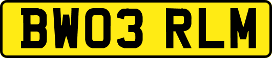 BW03RLM