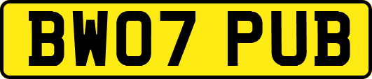 BW07PUB