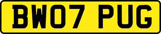 BW07PUG