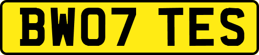 BW07TES