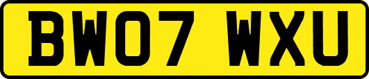 BW07WXU