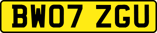 BW07ZGU