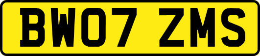 BW07ZMS