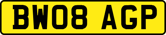 BW08AGP