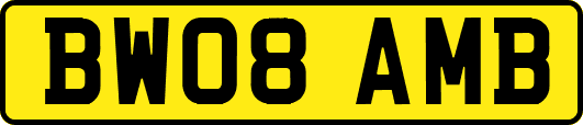 BW08AMB