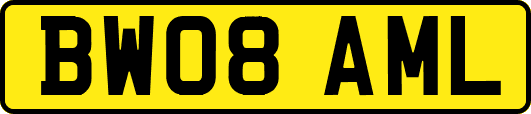 BW08AML
