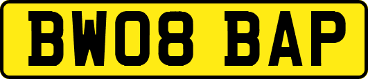 BW08BAP