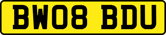 BW08BDU