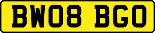 BW08BGO