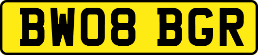 BW08BGR