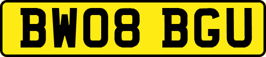 BW08BGU