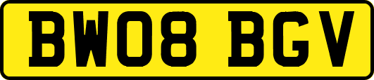 BW08BGV